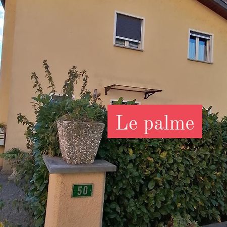 Le Palme Monteceneri Exterior foto