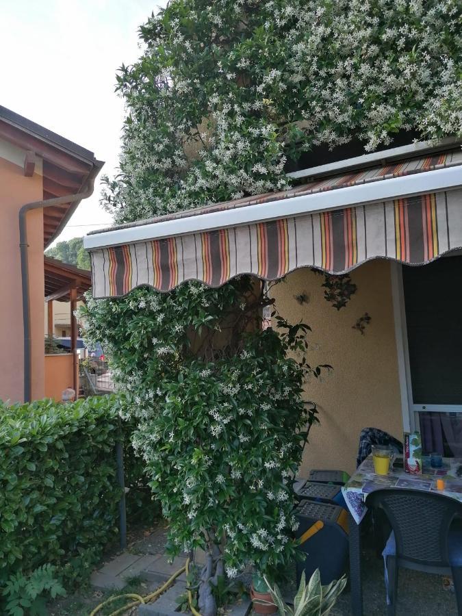 Le Palme Monteceneri Exterior foto